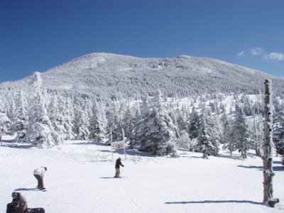 縞枯山