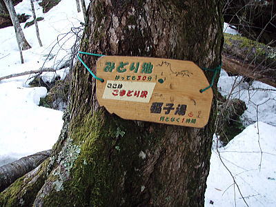 コマドリ沢