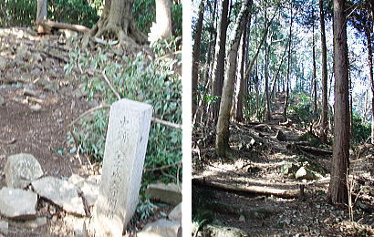 登山道