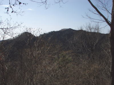 影信山