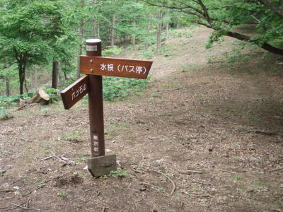 分岐