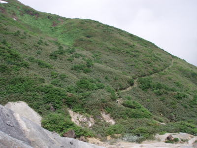 新道