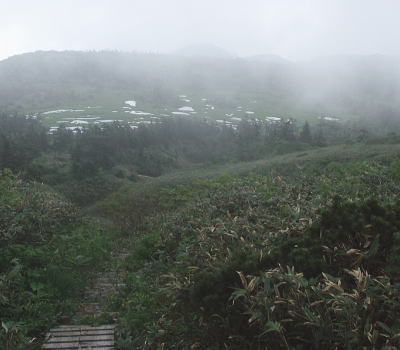 湿原が