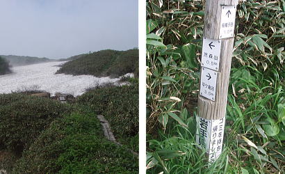 湿原に到着