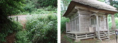 林道