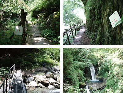 登山道