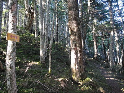 登山道