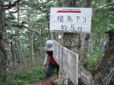 分岐