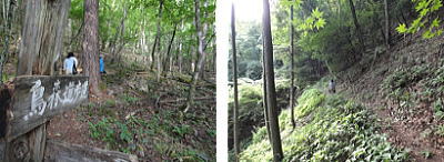登山道