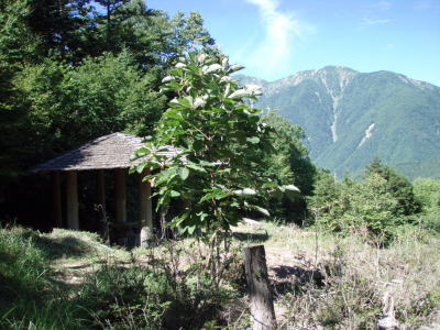 鳥森山