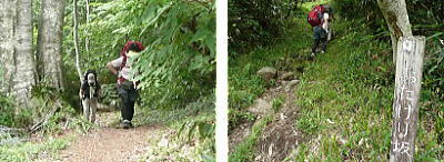 登山道