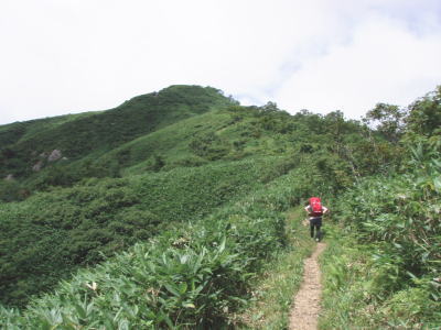 登山道
