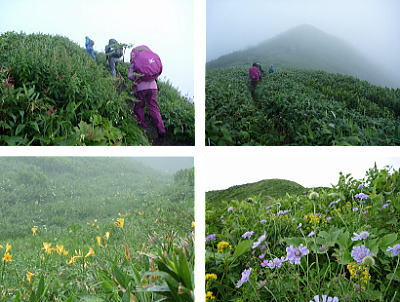 登山道