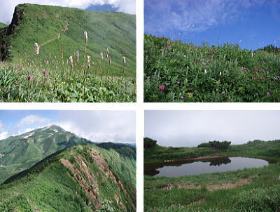 登山道