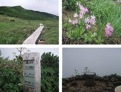 展望台コース
