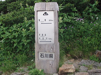 分岐
