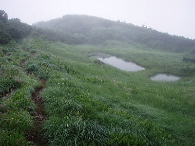北弥陀ヶ原