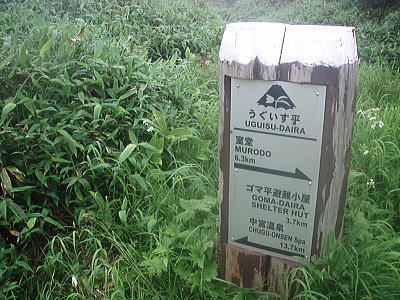 うぐいす平