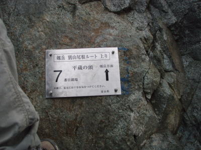 7番目