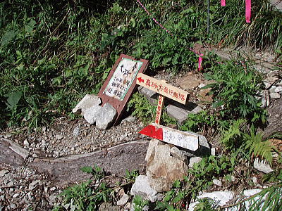 迂回路
