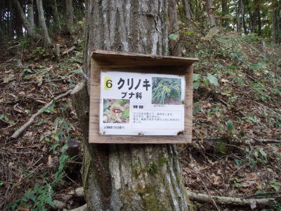 看板