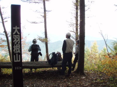 大羽根山
