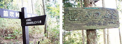笹尾根