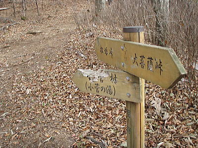 大ダワ分岐