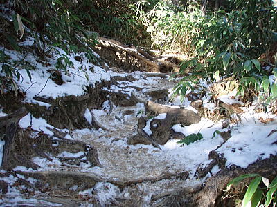 凍った登山道