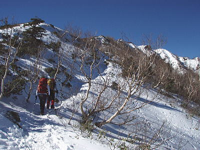 登山道