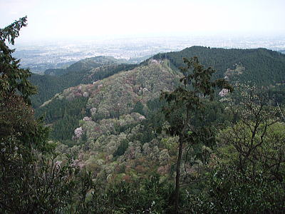 越上山登山道から