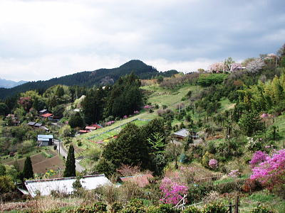 峠の風景