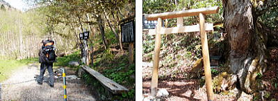 歩きはじめる