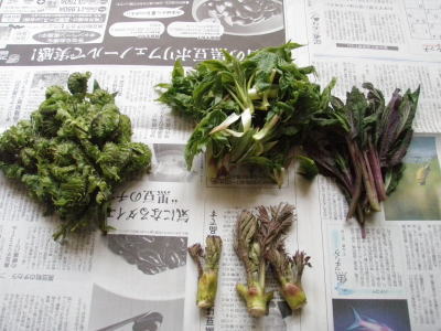 収穫