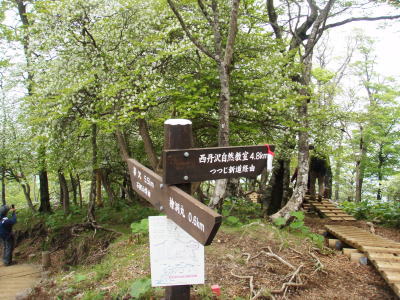 分岐