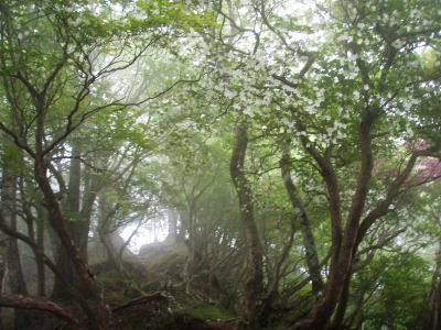 トンネル