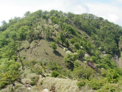 塔ノ岳方面