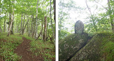 登山道