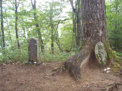 登山道