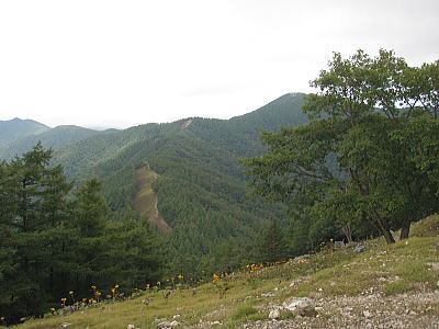 七ツ石山