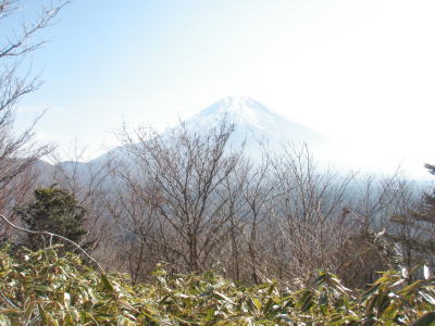 富士山