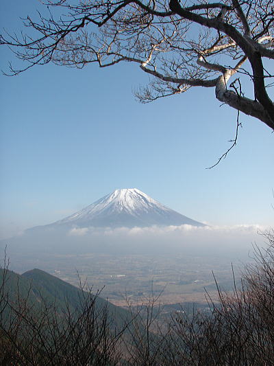 端田峠からの富士山