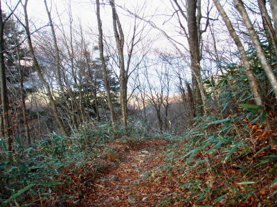 登山道