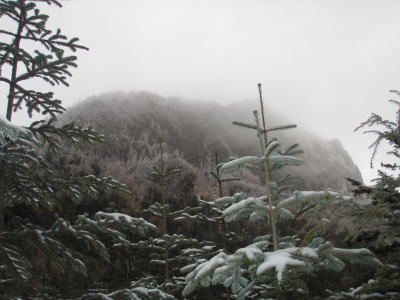 稲子岳方面