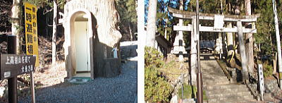 養沢神社