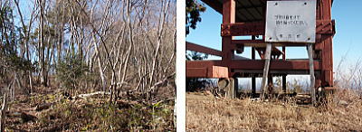 展望台
