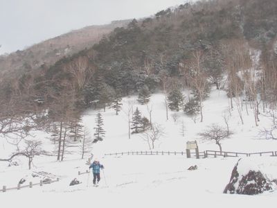 涸れ沼