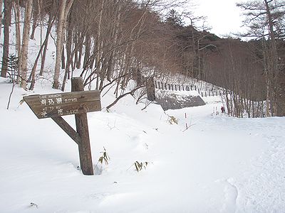金精道路に着いた