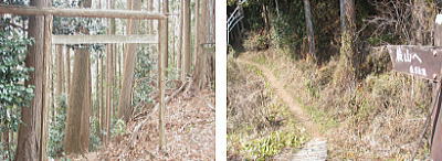 金比羅神社跡