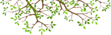 image01.gif